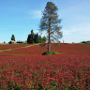 Meet your Posher, Jesse